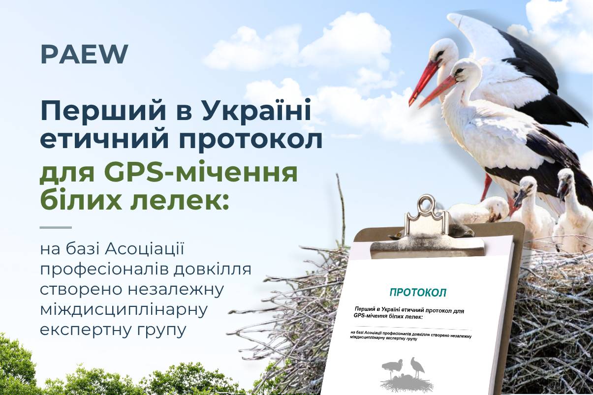 кафедра